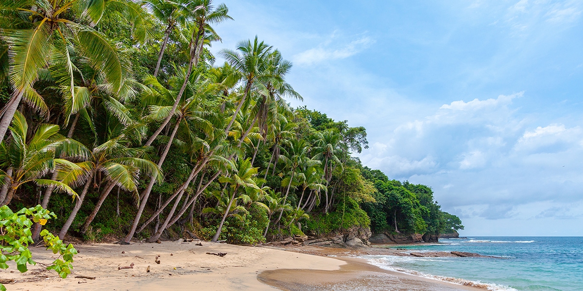 15 Perfect Beach Puns You're Shore to Love This Summer - Let's Eat Cake