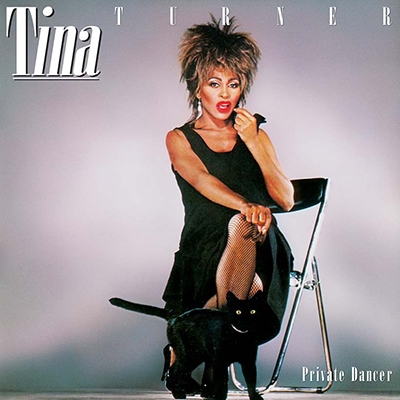 Best Vinyl Rock Albums - Tina Turner Private Dancer