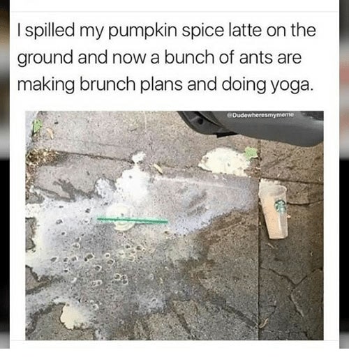 25 Funny Pumpkin Spice Latte Memes for Fall - Let39s Eat Cake