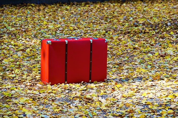 lost luggage tegel