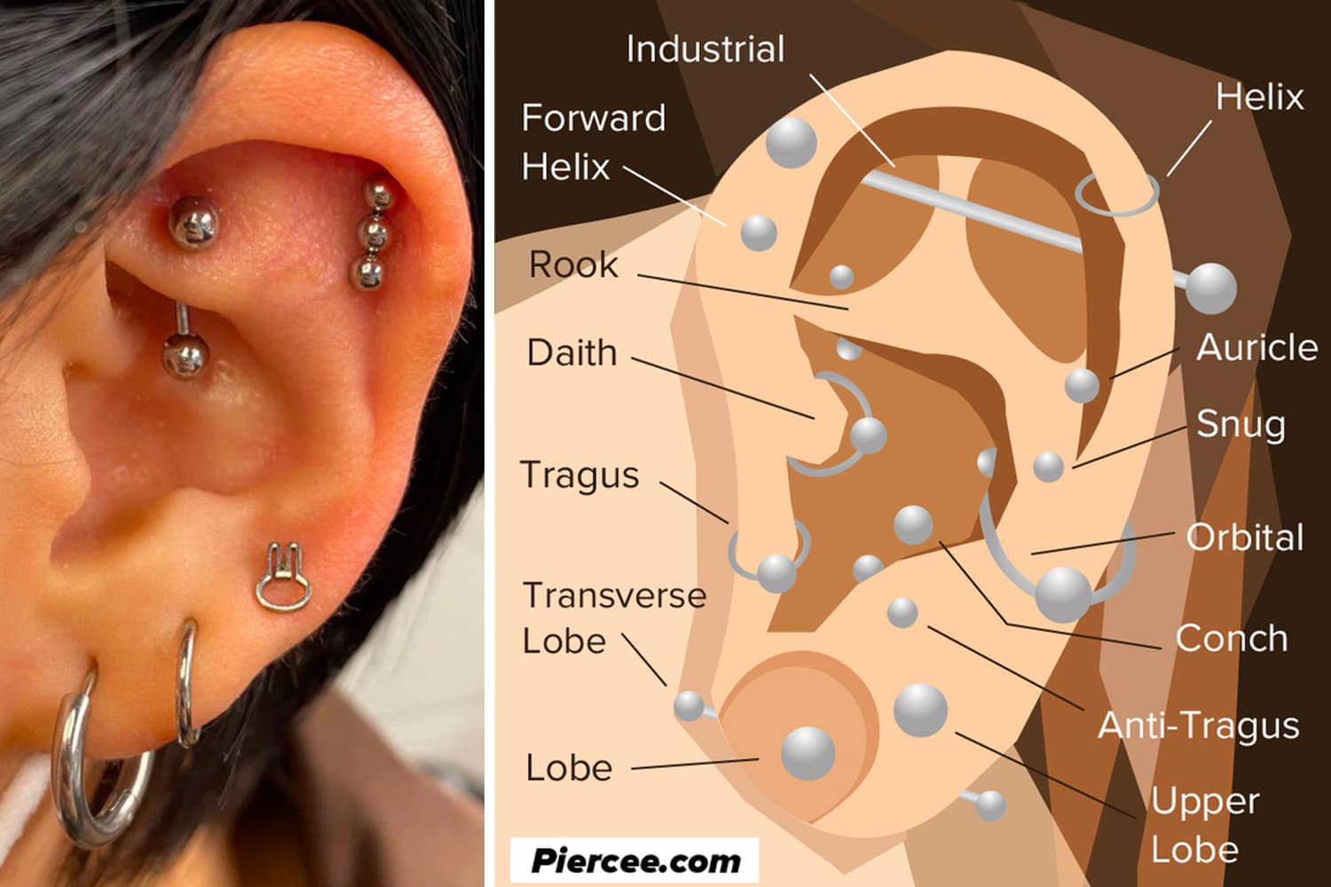 Piercing Which body part is more susceptible to  painhttpswwwalienstattoocompostwhatarethemostpainful placestogetapiercing1