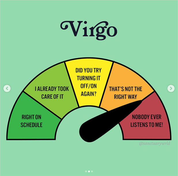 29 Perfect Virgo Memes You'll Only Get If You Are One - Let's Eat Cake