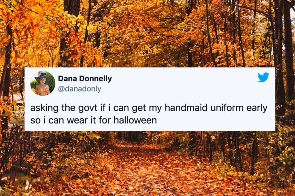 The 50 Funniest Tweets From Women Lets Eat Cake