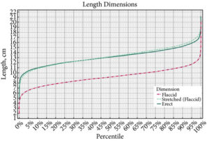 What Is Average Girth Size and Does It Really Matter? - Let's Eat Cake