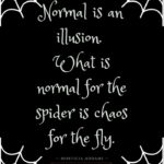 Morticia Addams Quotes - Normal is an illusion. What is normal for the spider is chaos for the fly.