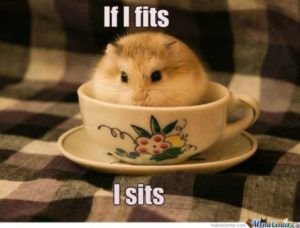 29 of the Cutest Hamster Memes We Could Find (So Far) - Let's Eat Cake