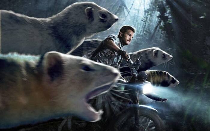 Jurassic Park Dinosaurs Replaced By Ferrets - Velociraptors