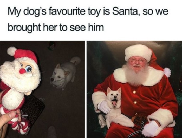 Dog's Favorite Toy is Santa