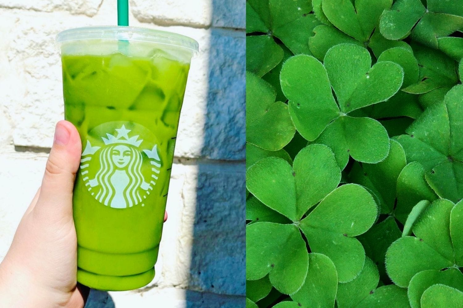 You Can Get A Good Luck Charm Frappuccino From Starbucks To Get You Through  Your Day