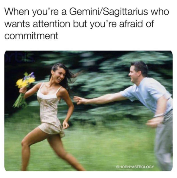zodiac signs gemini memes