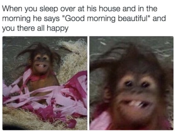 25 Funny Relationship Memes To Send To Your Partner Let S Eat Cake