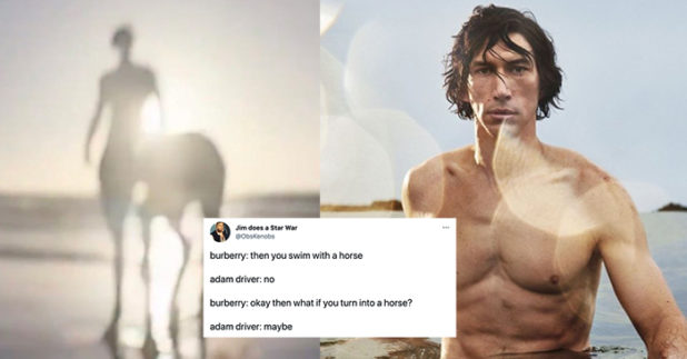 17 Funny Memes About Adam Driver Becoming a Centaur| Let's Eat Cake