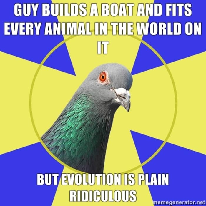 Funny Memes - Religion Pigeon