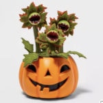 Target Halloween Hyde and Eek 2021 - Succulent