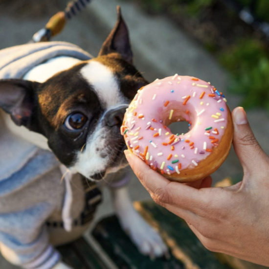 We Taste-Tested and Ranked All 17 Dunkin' Donut Flavors - Let's Eat Cake