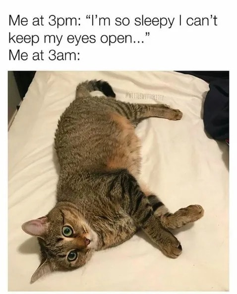 Can't Sleep Memes - cat laying in bed