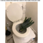 April Fool's Jokes - toilet has a leek