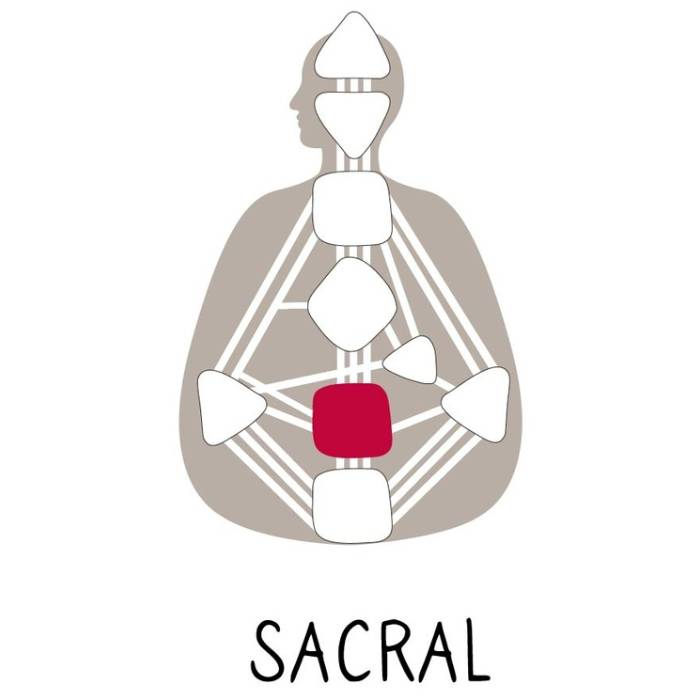 Human Design - Sacral Authority