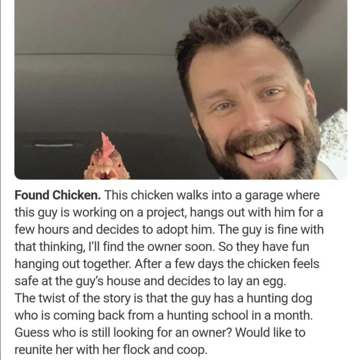 Best of Nextdoor - chicken