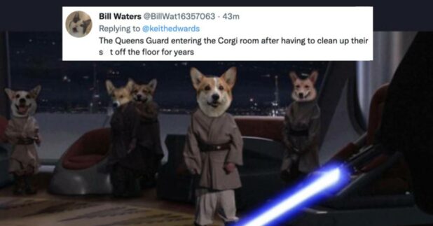 Queen Elizabeth Corgi Memes In Response to Her Passing - Let's Eat Cake