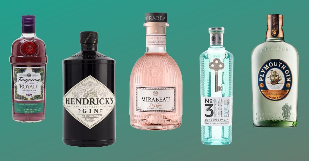 9 Best Gins According to Experts