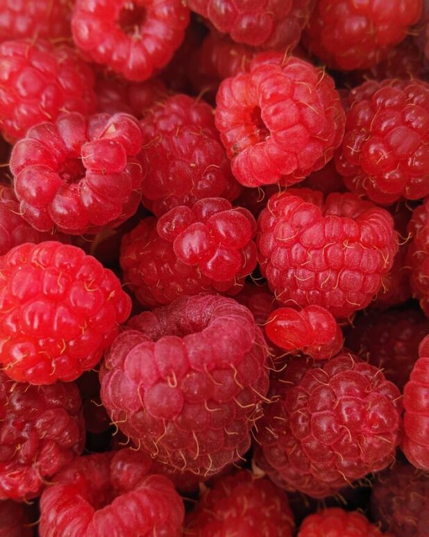 Starbucks Fans Brace Themselves For A World Without Raspberry Syrup ...