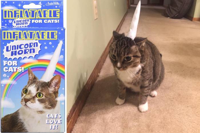 Amazon Spring Products - inflatable cat unicorn horn