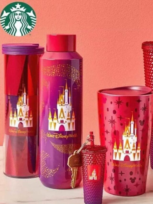 Disney Walt Disney World Starbucks Cinderella Castle Geometric Tumbler – I  Love Characters