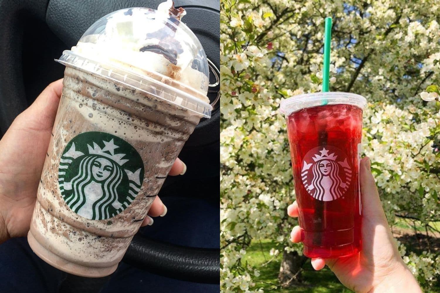 10 Delicious Caffeine-Free Drinks at Starbucks (That Aren't Decaf Coffee)