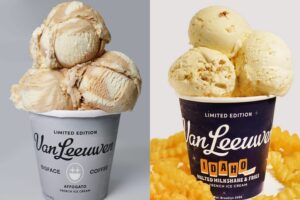 van leeuwen ice cream flavors ranked