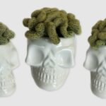 Trader Joe's Halloween 2023 - Brain Cacti in Ceramic Skulls