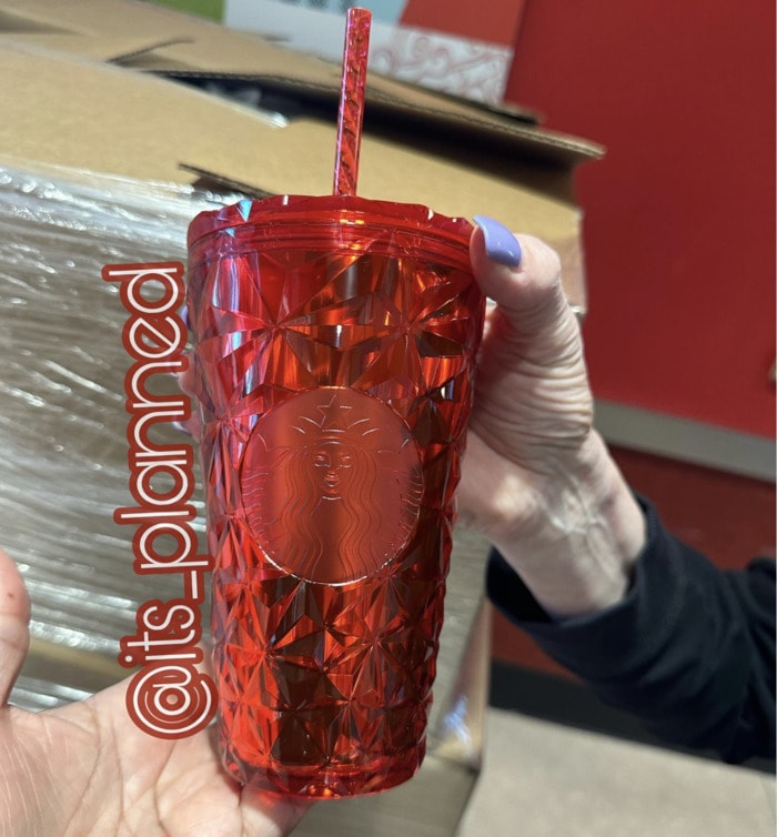 Starbucks Holiday 2023 Venti Plastic Tumblers With Silicon Straw Topper 