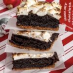 Trader Joes Holiday Products 2023 - chocolate peppermint loaf baking mix