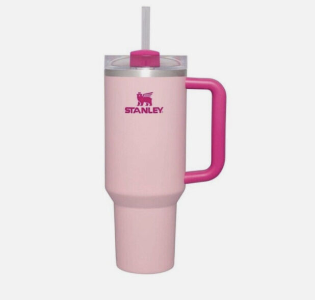 A Mean Girls Pink Starbucks Stanley Cup Is Coming to Target This