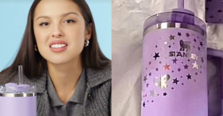 Olivia Rodrigo's Stanley Cup Collab Rocks the Internet - Let's Eat Cake